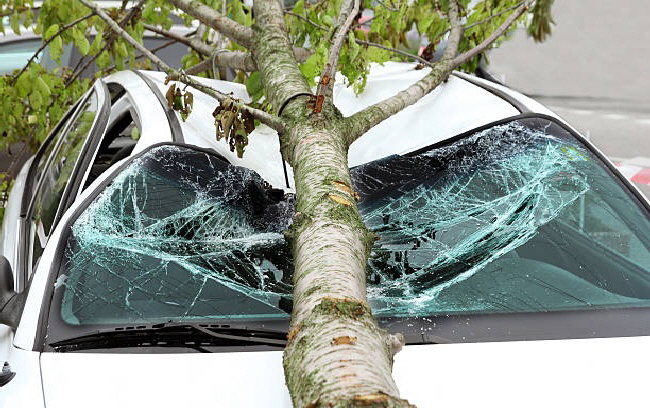 Frontscheibe komplett austauschen.Das Autoglas meines Wagens wurde durch einen herunterfallenden Ast beschdigt.Das Autoglas wurde bei dem Unfall stark beschdigt und muss dringend ausgetauscht werden. Der Automechaniker ersetzte das zerbrochene Autoglas und brachte das Fahrzeug wieder in einen sicheren Zustand.    